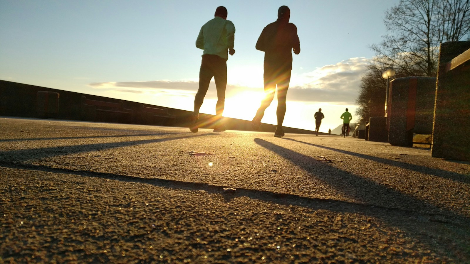 Two runners sharing an outdoor route in the morning sunshine